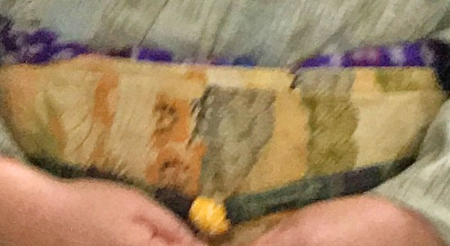 投稿画像２