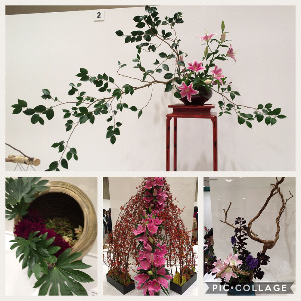 投稿画像２
