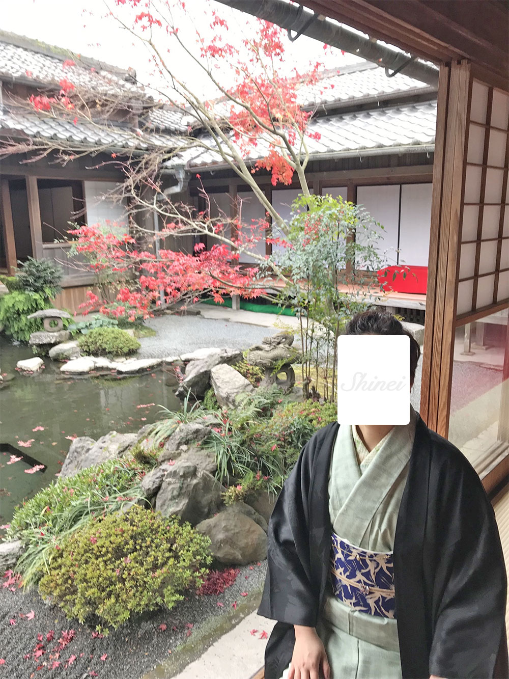 投稿画像２