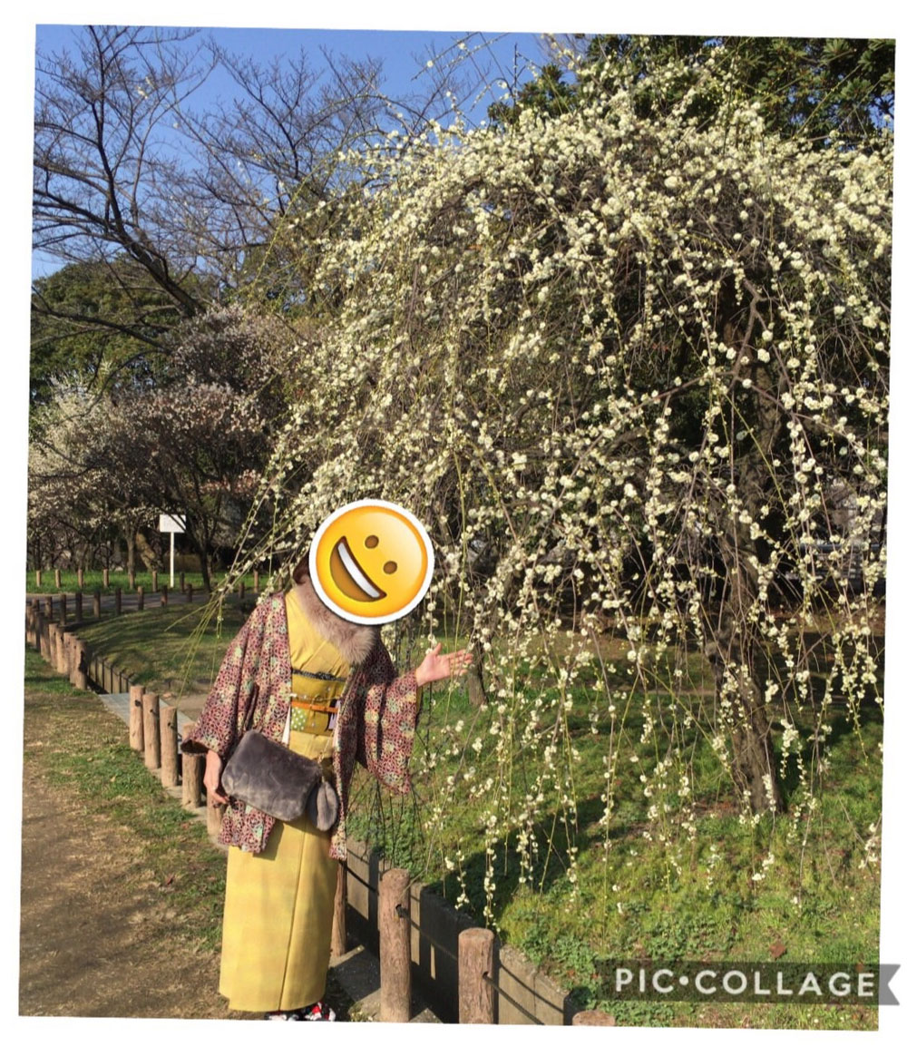 投稿画像３